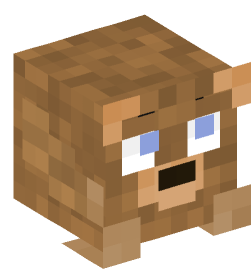 Minecraft head — Decor