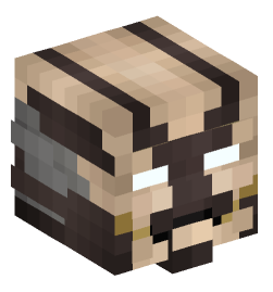 Minecraft head — People