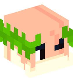 Minecraft head — People