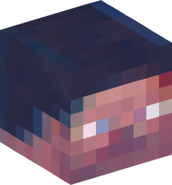 Minecraft head — Miscellaneous