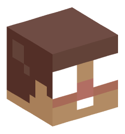 Minecraft head — Miscellaneous