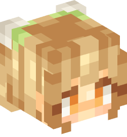 Minecraft head — People