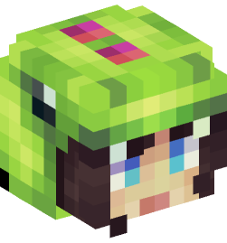 Minecraft head — People