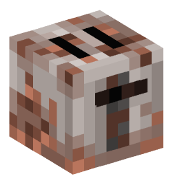 Minecraft head — Decor