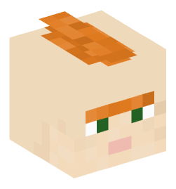 Minecraft head — People