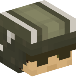 Minecraft head — People