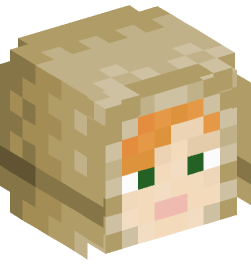 Minecraft head — People