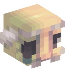 Minecraft head — Creatures