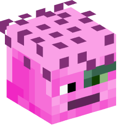 Minecraft head — Creatures