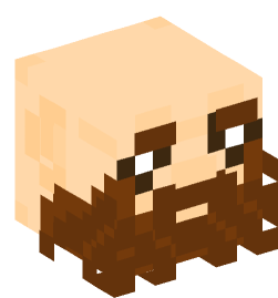 Minecraft head — People