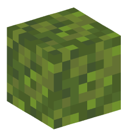 Minecraft head — Blocks