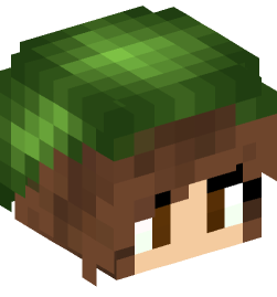 Minecraft head — People