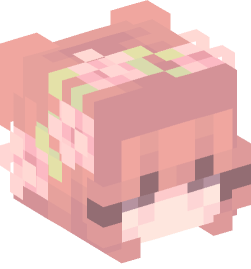 Minecraft head — People