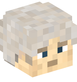 Minecraft head — People