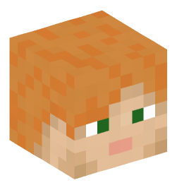 Minecraft head — People