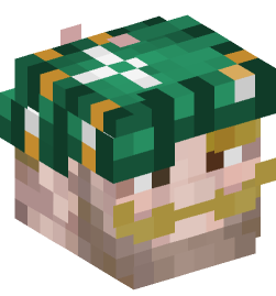 Minecraft head — People