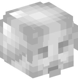 Minecraft head — Decor