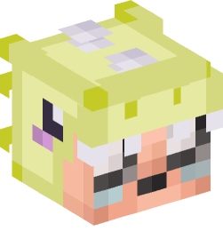 Minecraft head — People