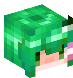 Minecraft head — People