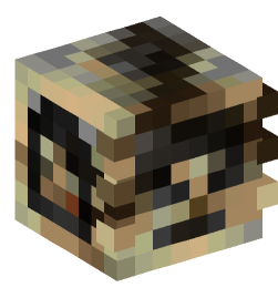 Minecraft head — Decor