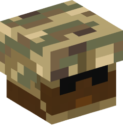 Minecraft head — People