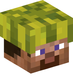 Minecraft head — People