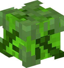 Minecraft head — Plants