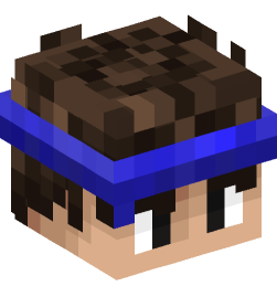 Minecraft head — People