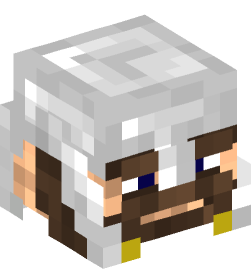 Minecraft head — People