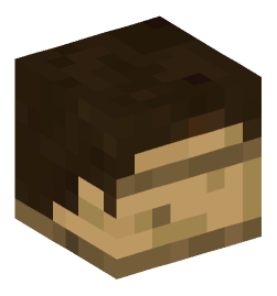 Minecraft head — Decor