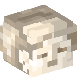 Minecraft head — Decor