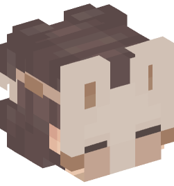 Minecraft head — People