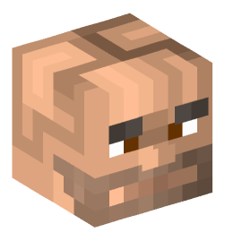 Minecraft head — People