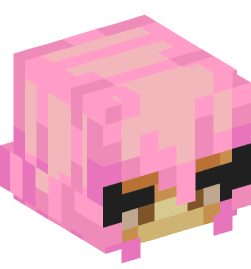 Minecraft head — People