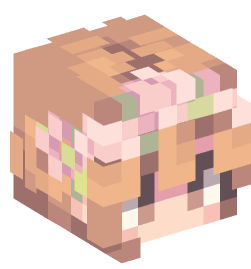 Minecraft head — People