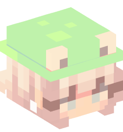 Minecraft head — People