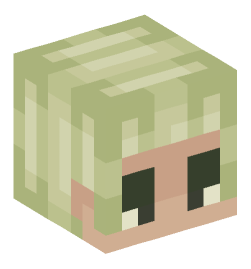 Minecraft head — People