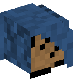 Minecraft head — Decor