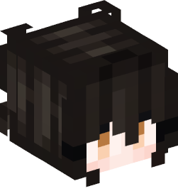 Minecraft head — People