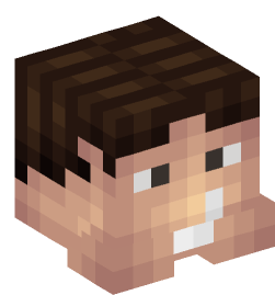 Minecraft head — People