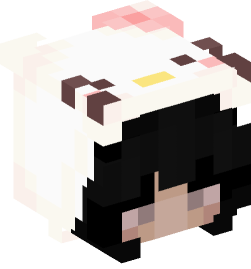 Minecraft head — People