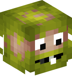 Minecraft head — People