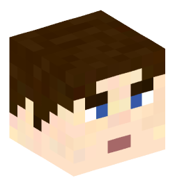 Minecraft head — People