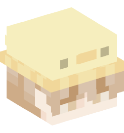 Minecraft head — People