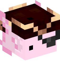 Minecraft head — Animals