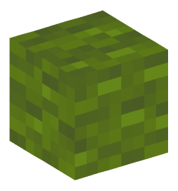 Minecraft head — Blocks