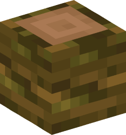 Minecraft head — Blocks