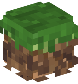 Minecraft head — Blocks