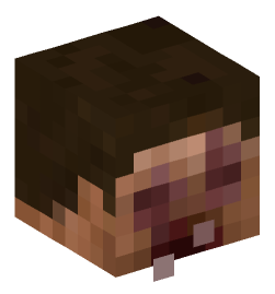 Minecraft head — People