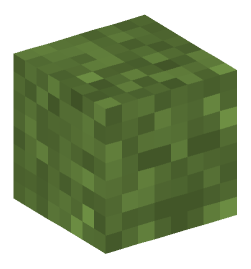 Minecraft head — Plants